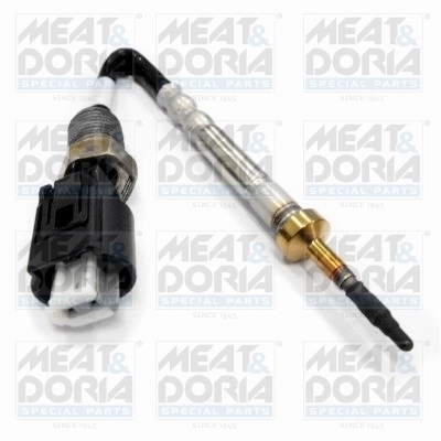 Sensor, exhaust gas temperature
